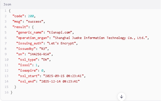 HTTPS检测API返回结果